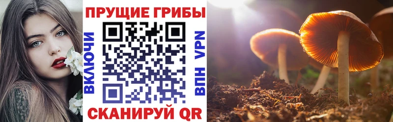 Псилоцибиновые грибы ЛСД  цены наркотик  Ковдор 